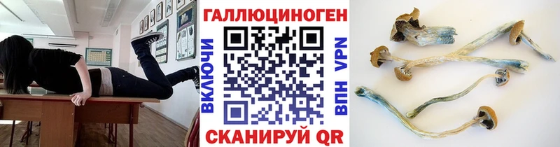 Псилоцибиновые грибы Psilocybe  Звенигород 