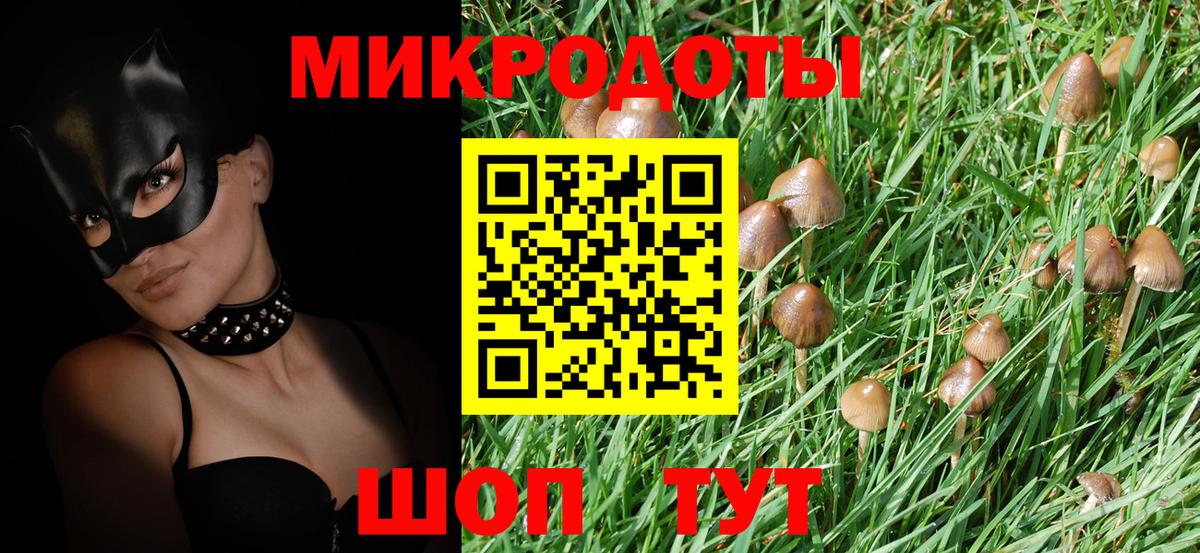 Галлюциногенные грибы Cubensis Звенигород
