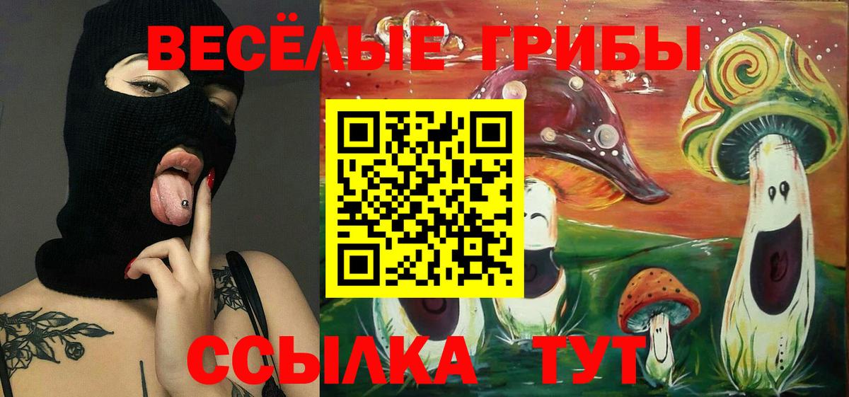 даркнет сайт  Псилоцибиновые грибы Cubensis  Вход с VPN  Звенигород 